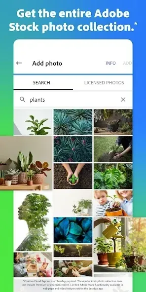 Adobe Express: Graphic Design 8.27.0 screenshot 4