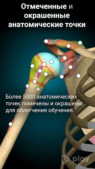 Anatomy Learning - 3D анатомический атлас 2.1.419 screenshot 2