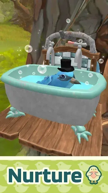 Bird BnB 1.18 screenshot 3