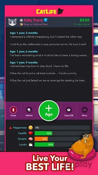 BitLife Cats - CatLife 1.8.5 screenshot 3
