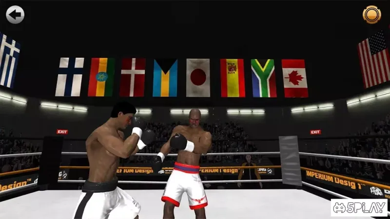 Boxing - Road To Champion screenshot 4