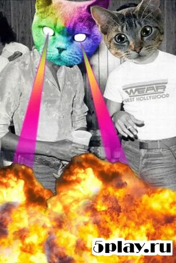 Catwang screenshot 3