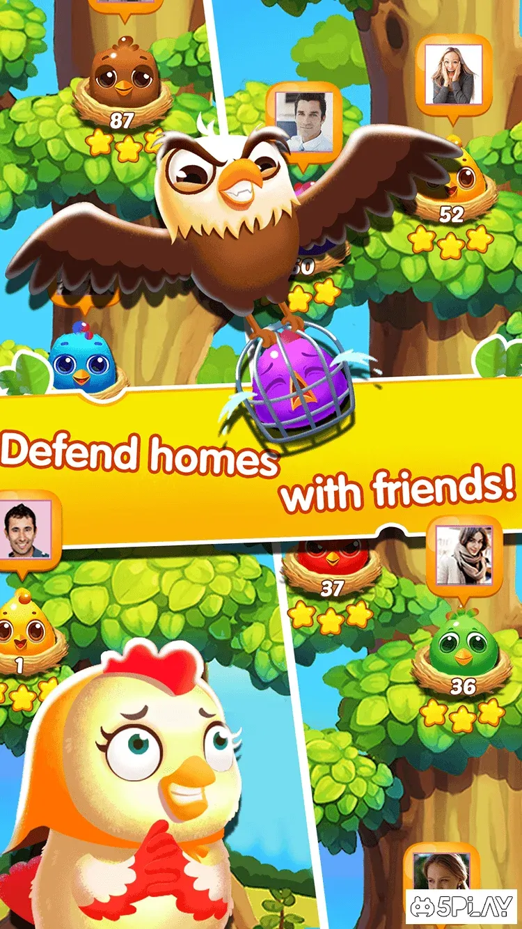 Chicken Splash 2 - Collect Eggs & Feed Babies 8.1 screenshot 1