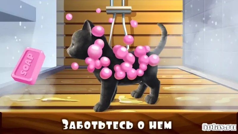 Daily Kitten : виртуальный кот 3.4 screenshot 2