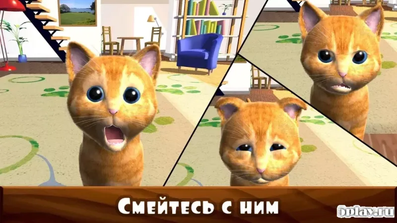 Daily Kitten : виртуальный кот 3.4 screenshot 4