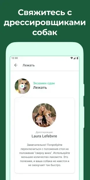 Дого - Тренируй Свою Собаку 7.13.0 screenshot 1