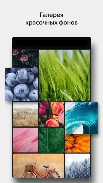 Яндекс Браузер - С Алисой 19.12.2.152 screenshot 3