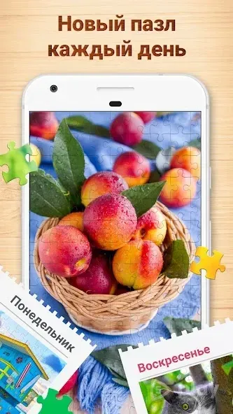 Пазлы для взрослых 3.5.0 screenshot 4