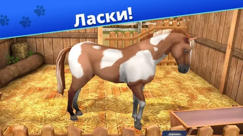 Мир питомцев — Приют для животных 5.6.12 screenshot 4