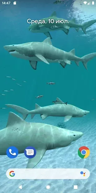Sharks 3D - живі шпалери 1.0.0 screenshot 1