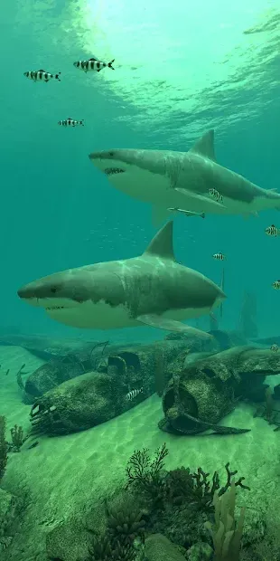 Sharks 3D - живі шпалери 1.0.0 screenshot 2