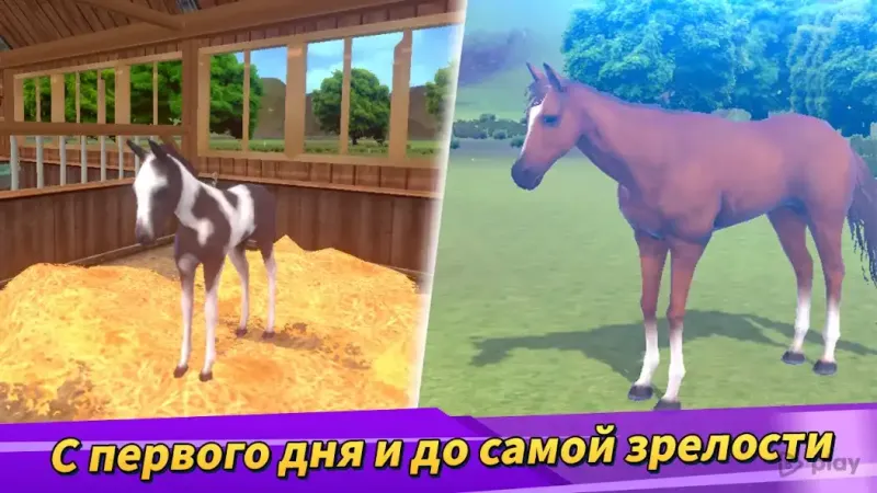 Derby Life 1.9.25 screenshot 2