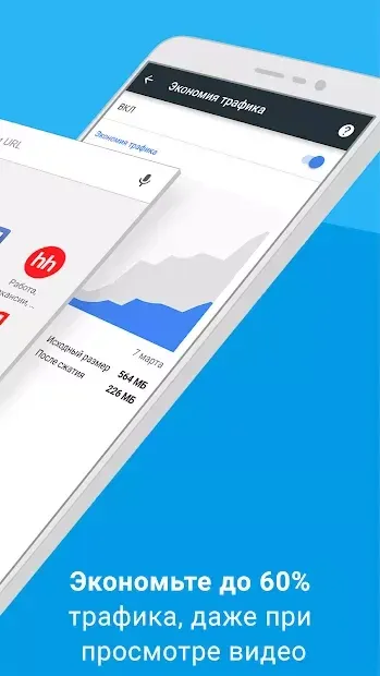 Браузер Google Chrome screenshot 1