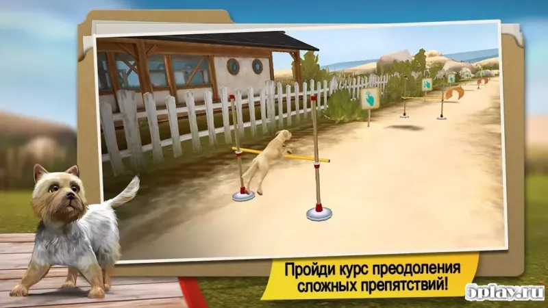 DogHotel – играйте с собаками и заботьтесь о них 2.1.2 screenshot 1