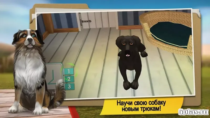 DogHotel – играйте с собаками и заботьтесь о них 2.1.2 screenshot 3