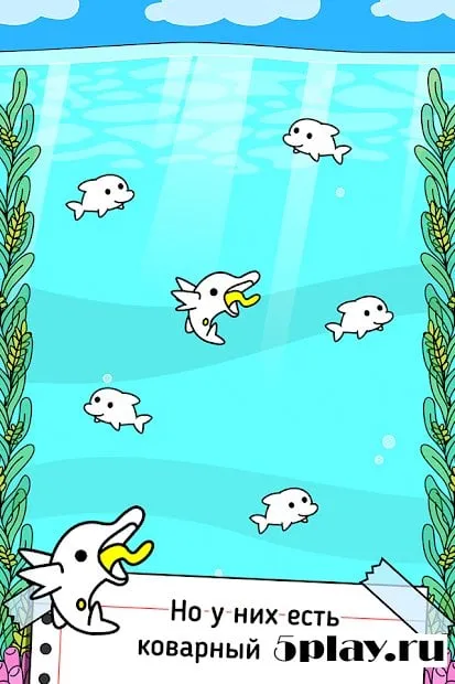 Dolphin Evolution screenshot 1