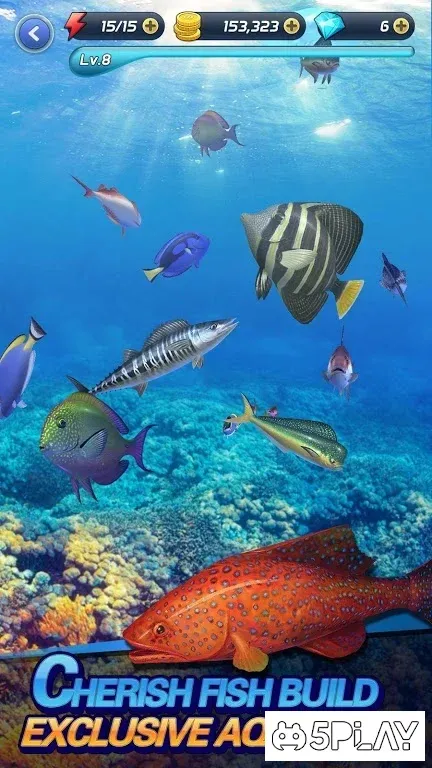 Fishing Fever screenshot 3