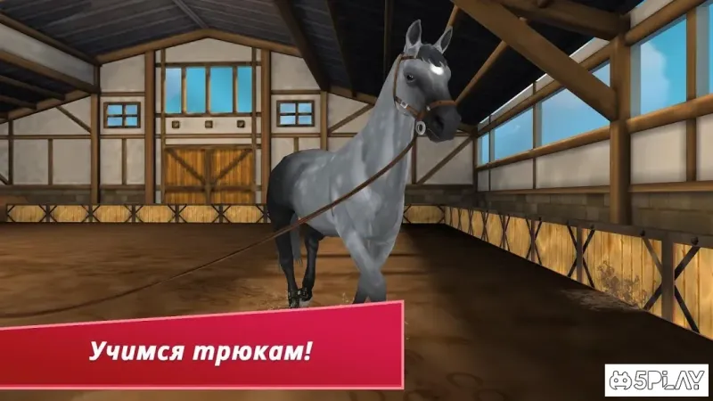 Horse Hotel - Уход за лошадьми 1.8.1.152 screenshot 3