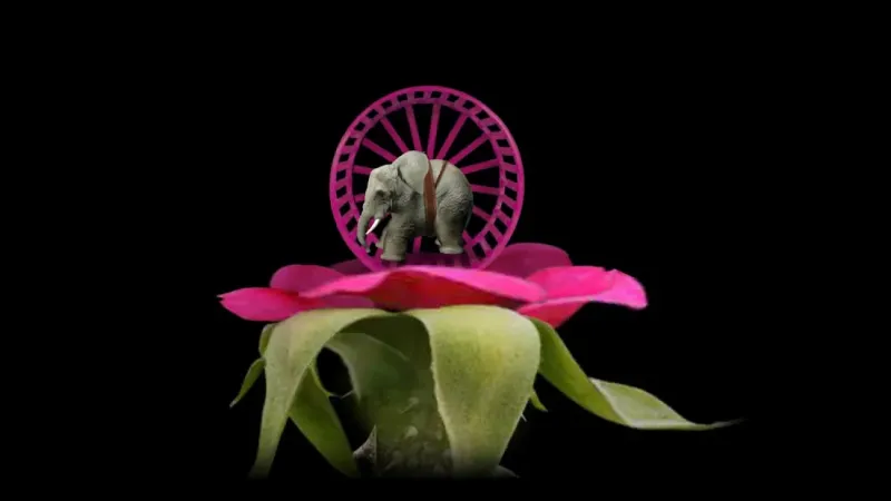 Mitoza 0.50 screenshot 3