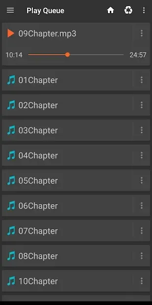 Music Queue 24.0.8 screenshot 2