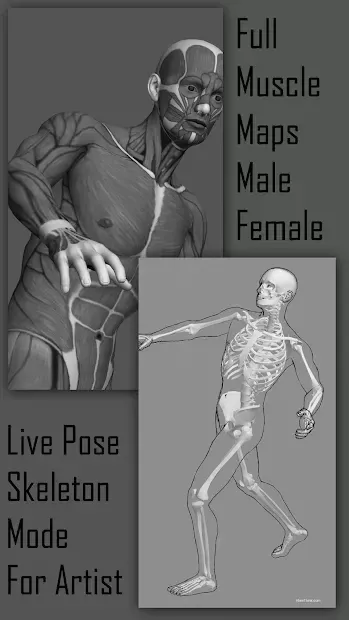 Pose Tool 3D screenshot 3