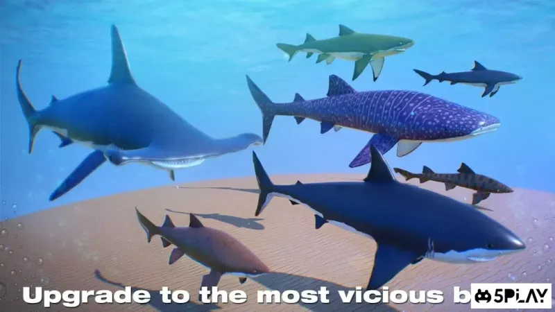 Shark Simulator 2019 screenshot 2