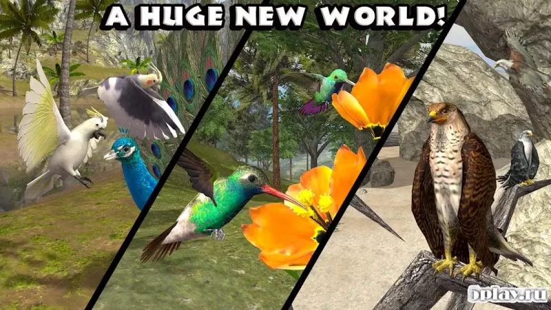 Ultimate Bird Simulator screenshot 4