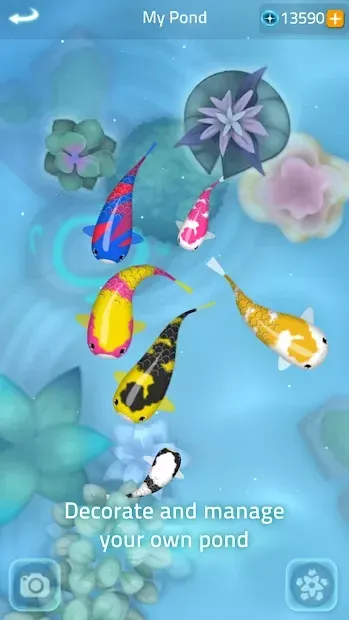 Zen Koi 2 screenshot 1