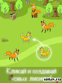 Angry Fox Evolution - Idle Cute Clicker Tap Game