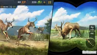 Wild Animal Hunter: Dino Shooting & Hunting Games 1.9