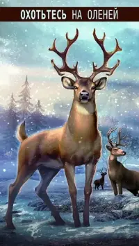 DEER HUNTER CLASSIC