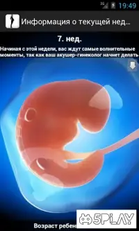 Я беременна - Календарь беременности по неделям 4.0