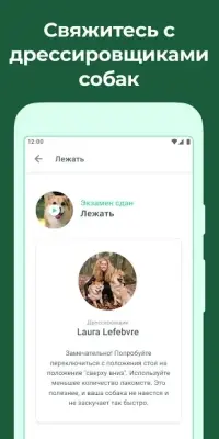 Імператор: Завоюйте свою королеву 1.13