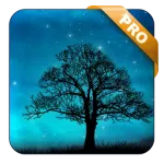 3D Live Wallpaper Pro 2.0