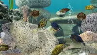 Fish Tycoon 2 Virtual Aquarium 1.10.9