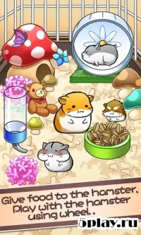  2048 HamsLAND - Hamster Paradise 1.1.4
