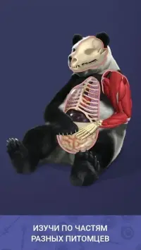 Splinter Cell Conviction