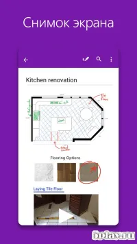 OneNote 16.0.11601.20056