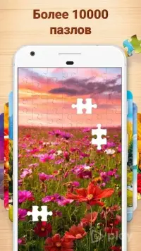 Recolor – Бесплатная книжка-раскраска для взрослых 5.5.0