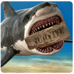 RAFT: виживання на плоту