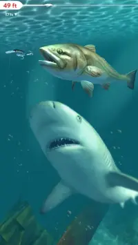 Rapala Fishing - Daily Catch 1.6.24