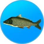 Рибальські Точки: Риболовля