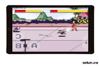 Saiyan Goku - Super Raging Fist 3D