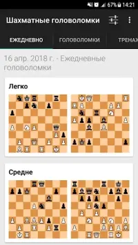 Шахматные головоломки 4.04