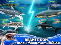 Shark World 12.78