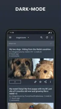 BaconReader for Reddit