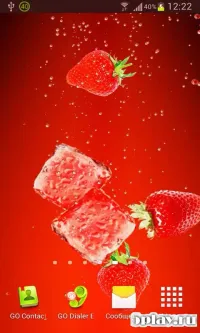 Гірські квіти PRO Живі шпалери