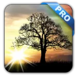 3D Live Wallpaper Pro 2.0