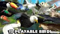 Ultimate Bird Simulator