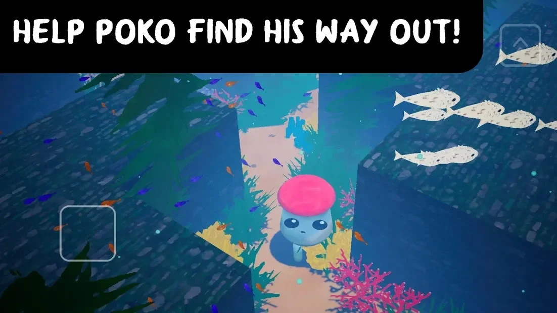 3D Maze: POKO's Adventures 2.0